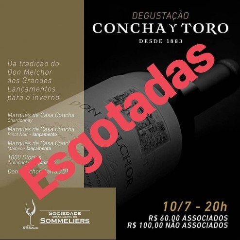 DEGUSTAÇÃO VINICOLA CONCHA Y TORO  