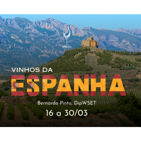Curso VINHOS DA ESPANHA