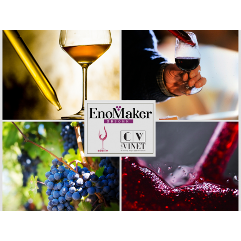 EnoMaker SBSomm - Programa EnoMaker na Vinícola Casa Vinet