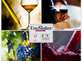 EnoMaker SBSomm - Programa EnoMaker na Vinícola Casa Vinet
